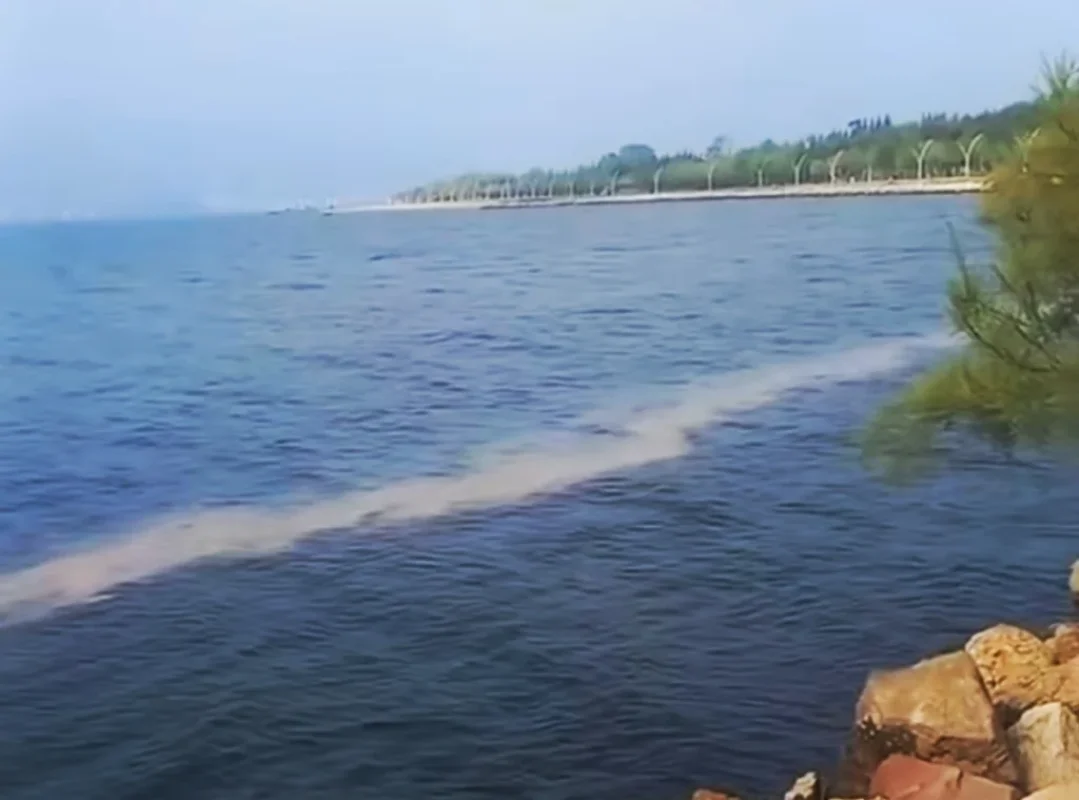Körfez’de deniz yüzeyi yeniden renk değiştirdi