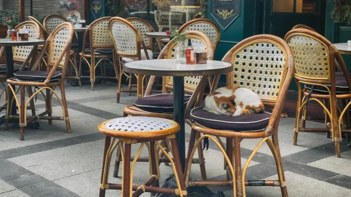 Kafe ve restoranlarda evcil hayvan dönemi sona erebilir: Bahçe ve teraslar da yasak kapsamına alınacak
