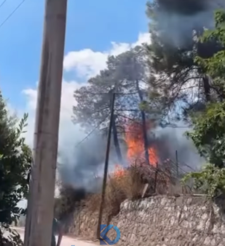 Çamlıtepe Mahallesi'nde Ormanlık Alanda Çıkan Yangın Kısa Sürede Söndürüldü