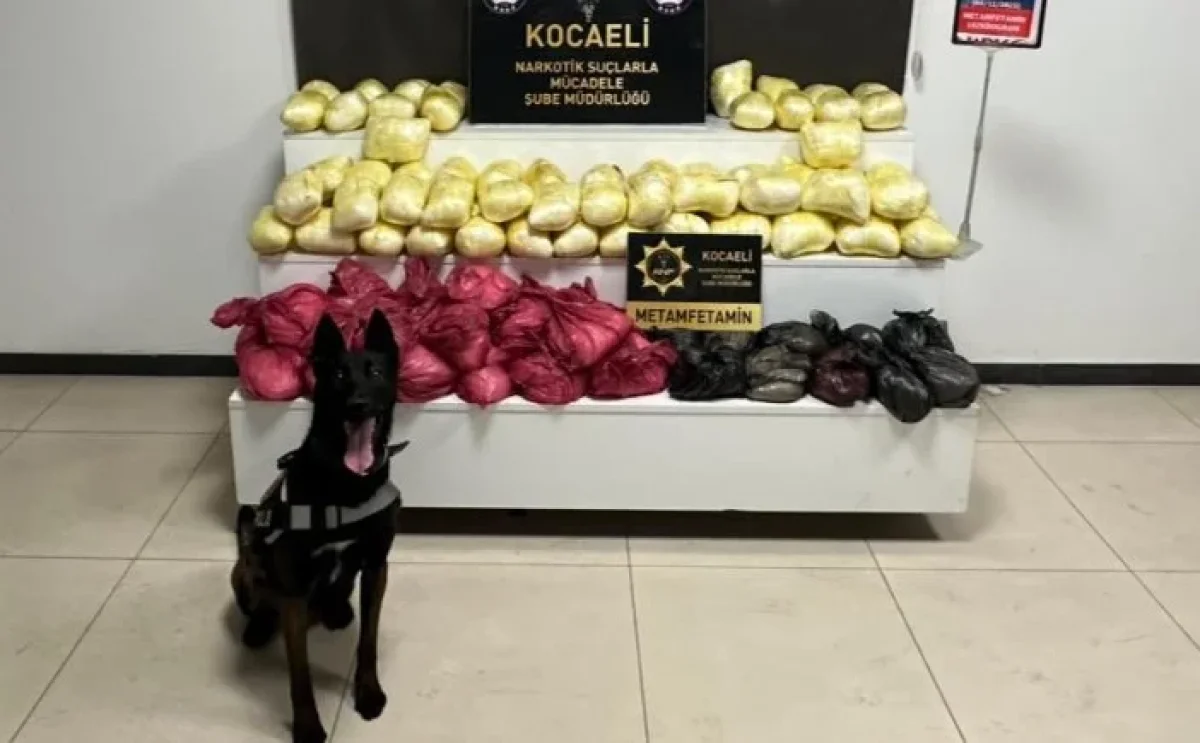 Kocaeli’de Narkotik Operasyonları: 85 Şüpheli Yakalandı!