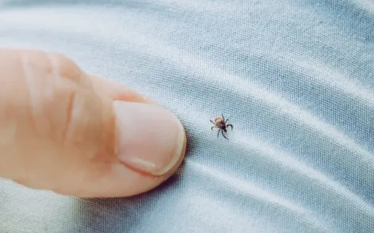 Kene ısırması 21 yaşındaki genci hayattan kopardı