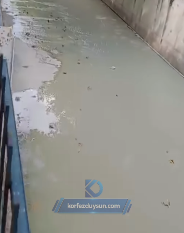 Kaşkaldere'de Dere Alarmı! Rengi Değişti, Çimento Atığı İddiası