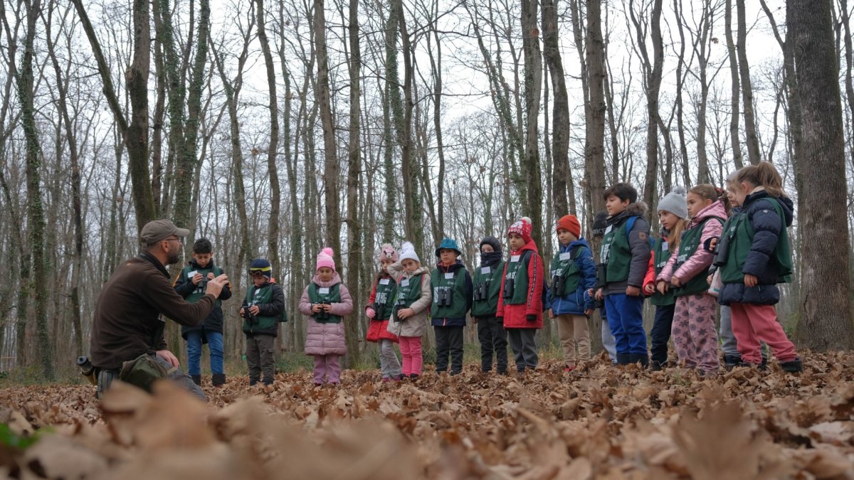 2025’te Ormanya’ya 5 milyon ziyaretçi