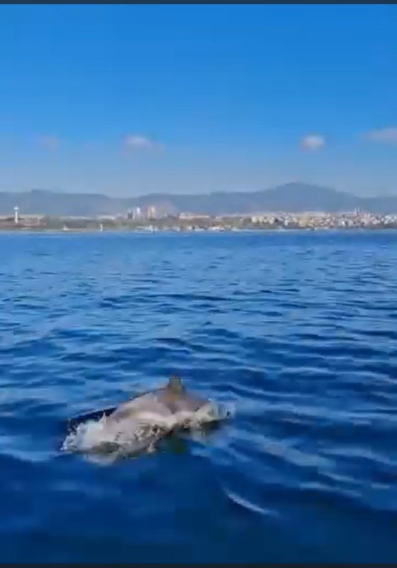 Başkan Büyükakın: “Yıllardır verdiğimiz emeğin karşılığını alıyoruz”