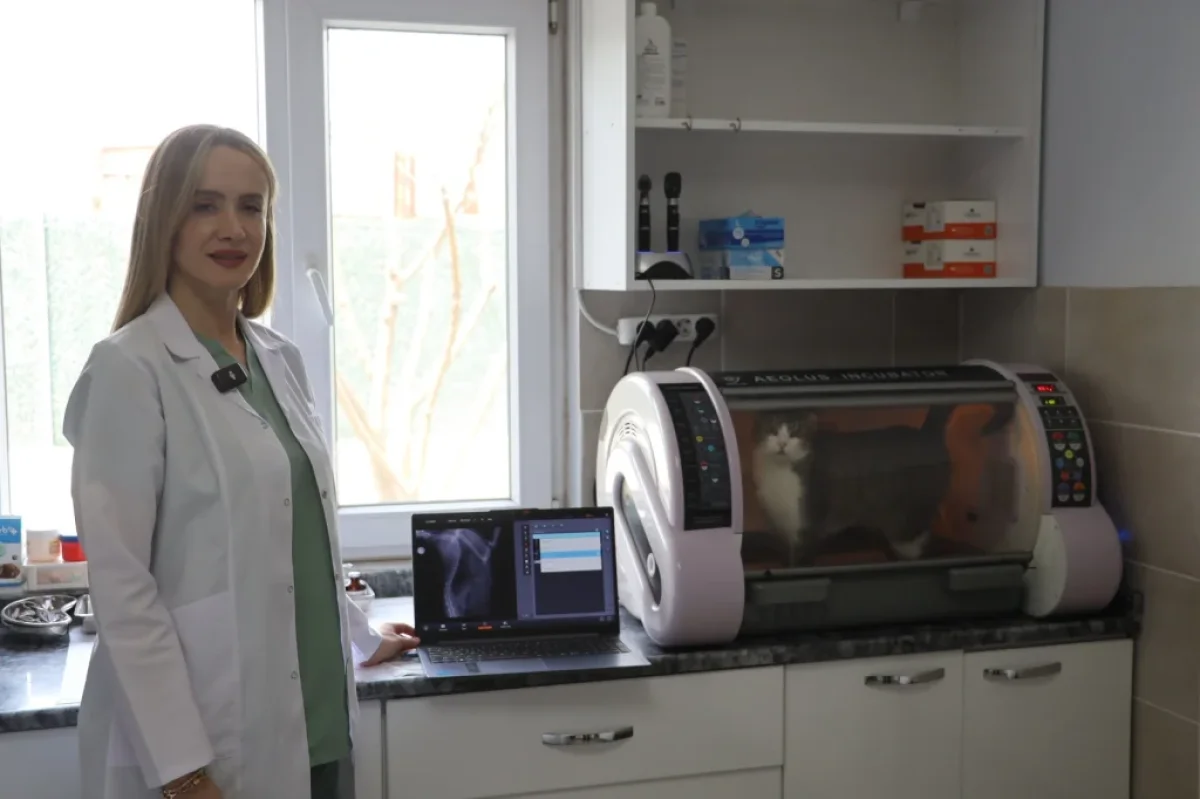 Körfez’de ‘Kral’ hayata tutundu!