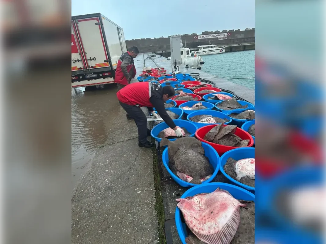 Kocaeli'de kaçak avcılık operasyonu