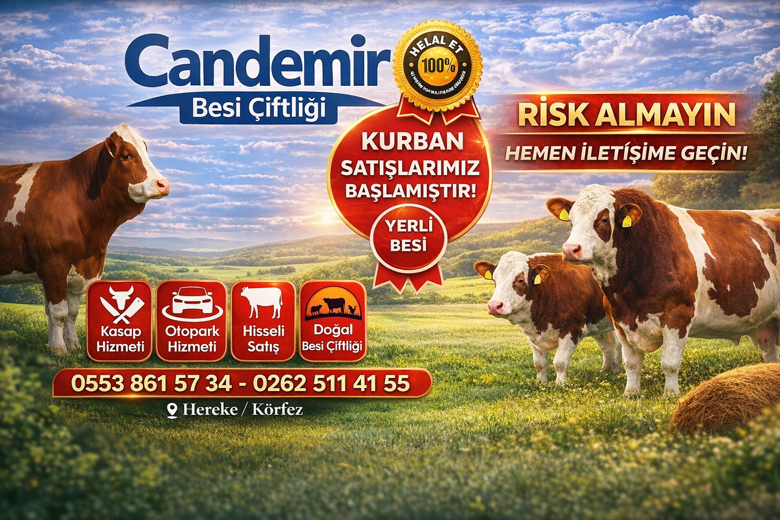 Körfez’de Kurban Satışları Başladı! Candemir Besi Çiftliği Hizmete Hazır