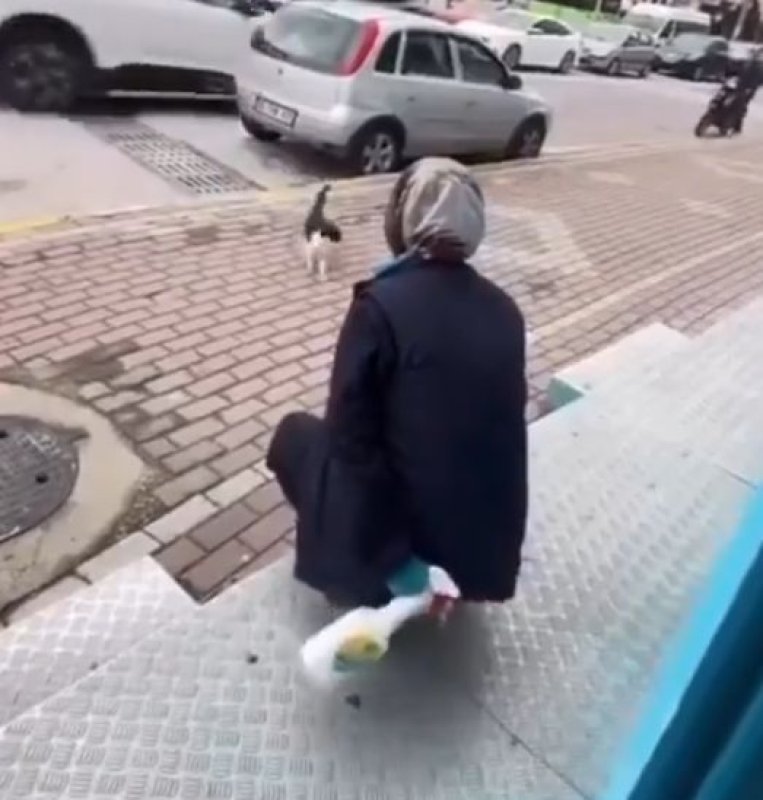 Karamürsel Belediyesi'nden tepki çeken görüntü hakkında açıklama!