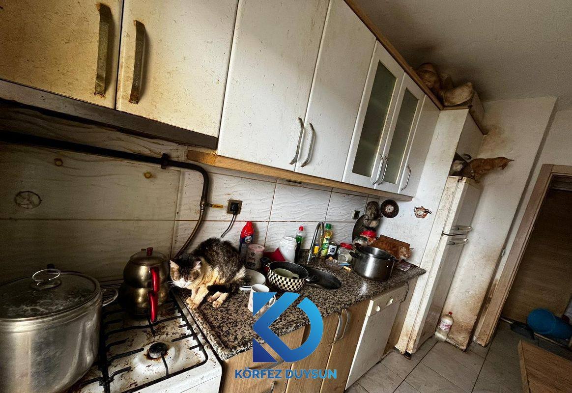 Kocaeli'de bir evde tutulan 55 Hayvan koruma altına alındı !