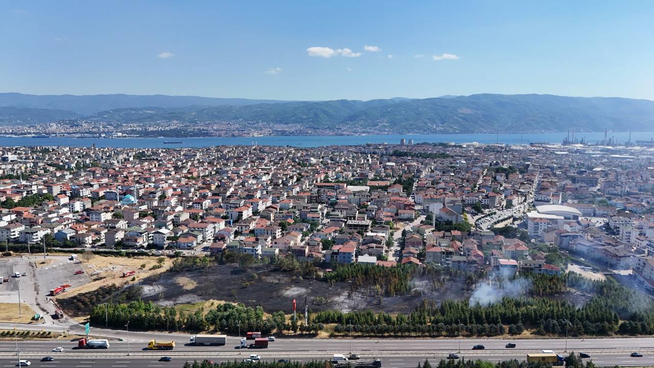 TEM Otoyolu Kenarında Çıkan Yangın Korkuttu: Alevler Otluk Alanlara Sıçradı